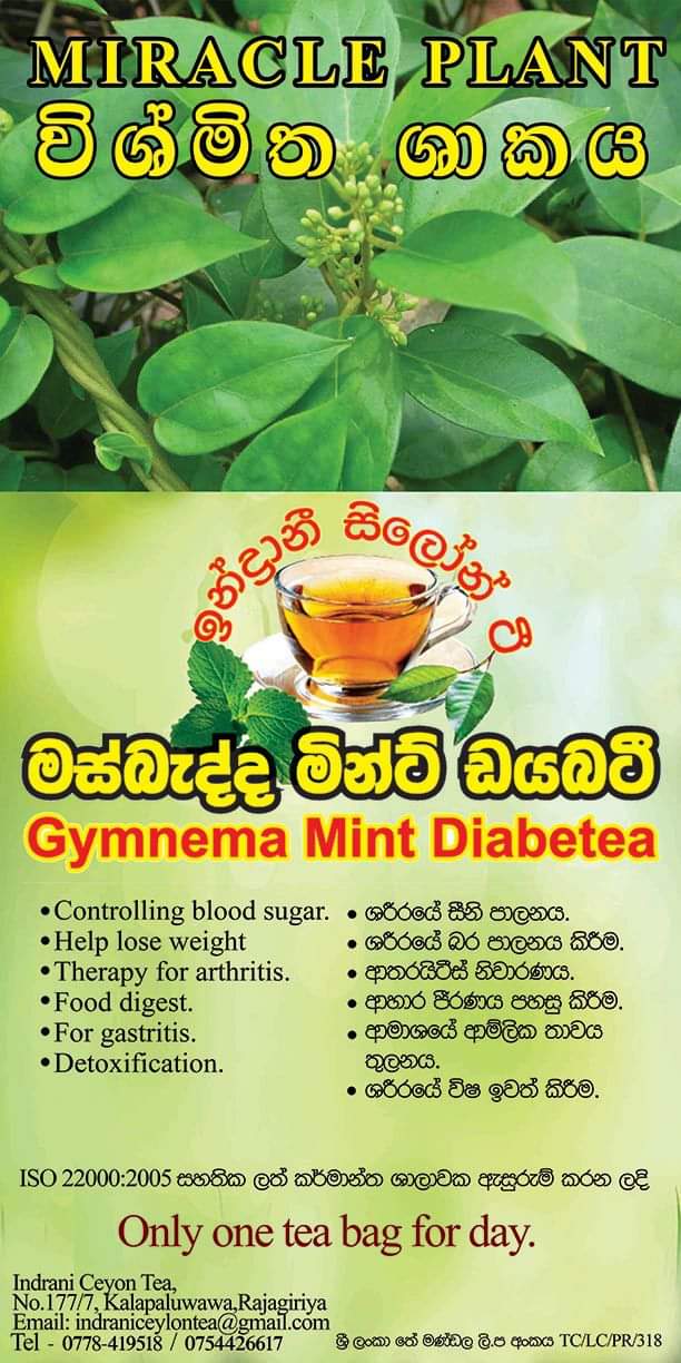 Gymnema mint diabetea is a good tea for diabetes 